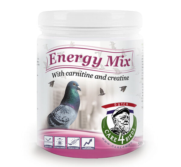 Energy Mix 650 g