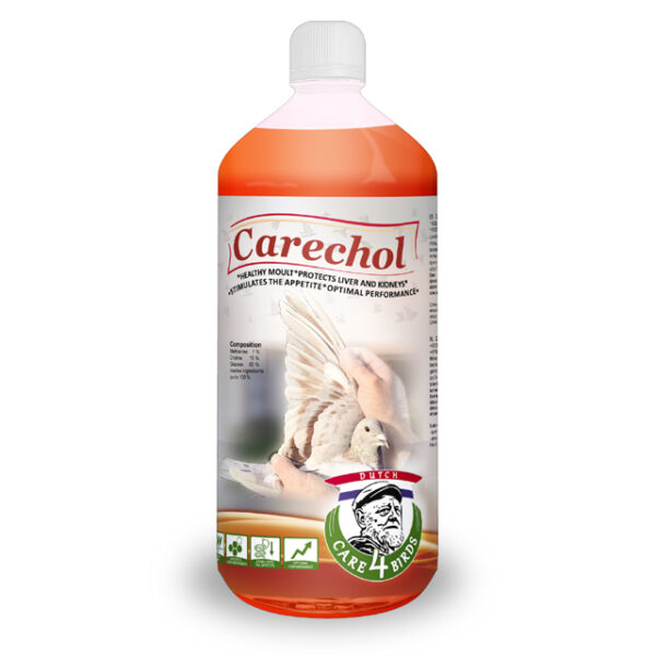 Carechol 1000 ml